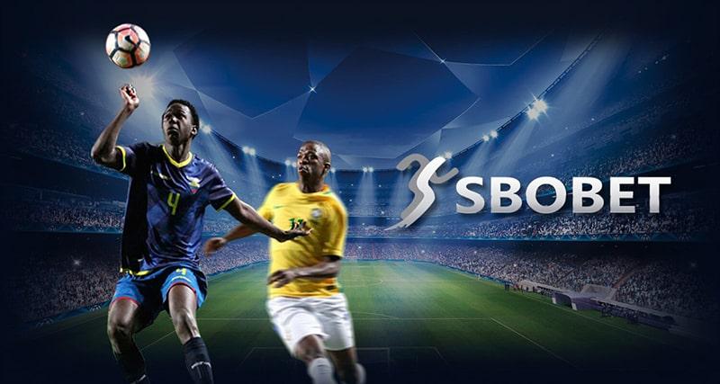 Provider Sportsbook Terbaik