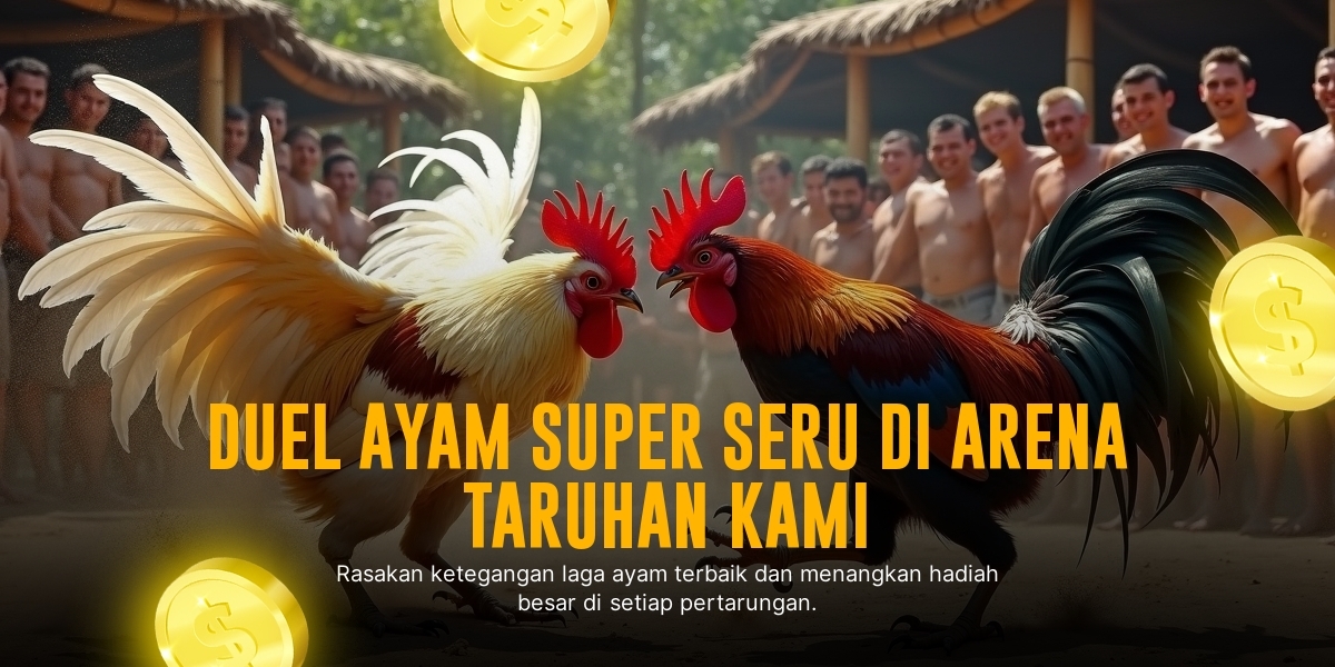 Mengenal Ayam Bangkok: Raja dari Sabung Ayam SV388